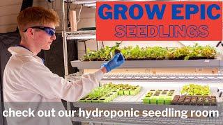 Seedleaves walkaround- how we grow your seedlings