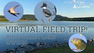 Virtual Bird Field Trip - Rose Valley Lake