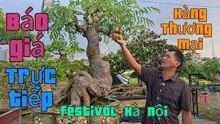 Báo giá hàng Thương mại tại festival Hà Nội  2024