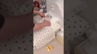 #catvideos #meow #entertainment #memes #funny #love #like #youtubeshort #shortvideo #memes #justmeow