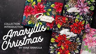 My Spellbinders Christmas 2024 Collection - Amaryllis Christmas Introduction