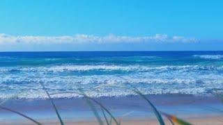 Ocean Waves, Surf Sounds, Sound of the Sea, Ocean Wave Sounds for Relaxing, Sleeping, Study, Stress