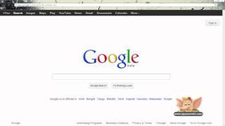 Google Search Tip 12 - Searching within Title and Content of Website