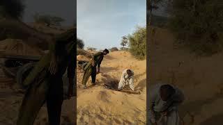 Sand Harvesting and Transportation by Rural Workers