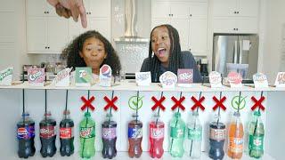 Soda Pop Challenge! | Sekora & Sefari Play