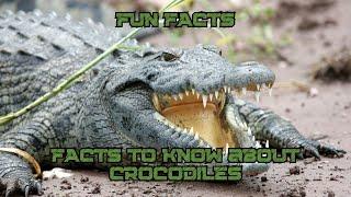 FACTS to KNOW about CROCODILES: Nature Unleashed!!! #shorts #facts