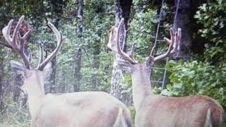 Lakeview Ranch - Land for Sale - Pittsburg County, Oklahoma near Lake Eufaula