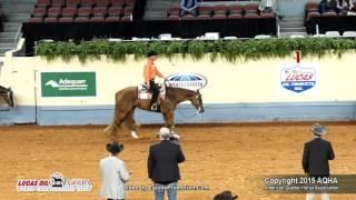 A Judge's Perspective  2015 World Show Senior Western Pleasure