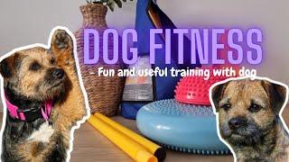 Dog Fitness - Fun and useful training with dog