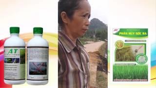 Xử lý rơm rạ, ủ phân vô cùng nhanh và hiệu quả