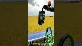 Transforming Agriculture: Cutting-Edge Machines for Sustainable & Automated Crop Harvesting.