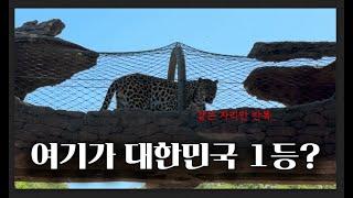 우리가 보지 못한 장면들_서울 대공원 동물원
