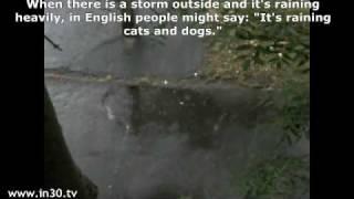 English in 30 Seconds:  Raining Cats and Dogs