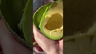 how i make my $20 HAILEY BIEBER SMOOTHIE at home!! 