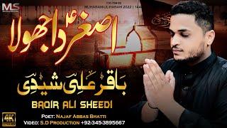 Baqir Ali Sheedi || Asghar Da Jhoola || 2022 || 1444