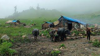 Nepali Nepali heard life style very heard working village lifestyle |