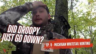 Whitetail Deer Hunt - Did Droopy just go down?