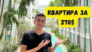 Наша квартира за $270. Как найти жилье на Пхукете. #пхукет #путешествие #таиланд #аренда #кондо