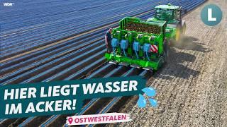 Technik gegen Dürre? So rettet Landwirt seine Ernte! | WDR Lokalzeit Land.Schafft.