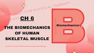 Muscular Strength | CH #6 | Biomechanics | PT 13 | Susan J Hall