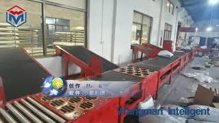 Wheel Sorter/Pivot Sorter/Wheel Diverter/Swivel Sorter/Roller Switch/Wave Sorter/휠소터 Conveyor