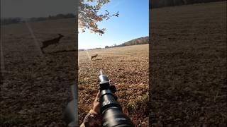 Muzzleloader hunting for deer! 20 yard shot!#deerhunting #shorts #hunting #muzzleloader #deer