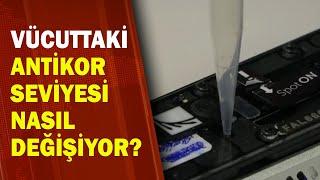 Vücuttaki Antikor Seviyesi Nasıl Değişiyor? / A Haber | A Haber