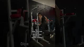 Here’s why Dips are a great exercise  #dips #chest #triceps #tips #reels