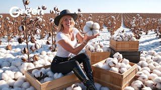 How to MILLIONS of tonts Cotton Harvesting & Cotton Factory  | Agriculture Technology