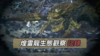 書士隊的煌雷龍生態觀察記錄【怪物獵人荒野】魔物獵人  レ・ダウ 生態 Rey Dau Ecology