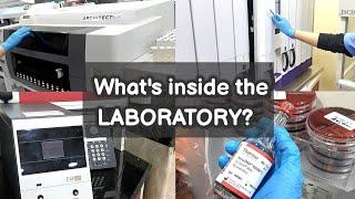 "A Look Inside The Lab"                                            |MEDICAL LABORATORY SCIENCE