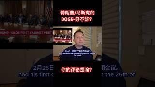 美国结束了吗？特朗普-马斯克的DOGE经济计划 - 你们剧的怎么样？ 中国人看什么？ #美国 #新闻 #特朗普 #马斯克 #美国新闻 #美国经济 #刘莱恩 #shorts #mandarin