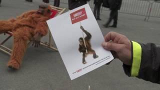 Greenpeace protests at Nestle shareholder meeting