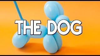 Magic Review - The Dog by TCC Magic