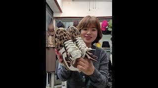 레오파드 송치 스니커즈(230~250)문의 010 6298-1275  사진캡처후 문자주세요#여성의류라이브방송 #라이브방송 #신발#스니커즈#데일리슈즈#도소매#동평화