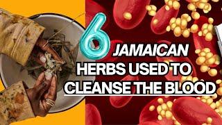 6 JAMAICAN HERBS used to PURIFY the BLOOD / Earth's Medicine