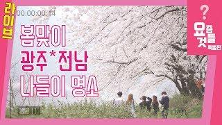 [광주MBC] 요즘것들의 경제 특별편! - 봄맞이 광주 전남 나들이 명소!