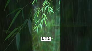 빗소리 #빗소리asmr #잠들기전 #수면음악 #심신안정 #불면증해소