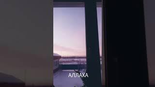Посланник Аллаха (ﷺ)  говорит: Этот мир настолько...#ислам#коран#заметки#мусульманина