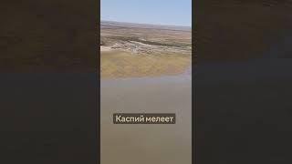 МЕЛЕЮЩИЙ КАСПИЙ