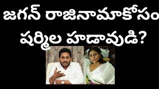 జగన్ రాజినామాకోసం షర్మిల హడావుడి?పులివెందులలో పోటీ చేస్తారా?Sharmila after Jagan seat?#telakapalli