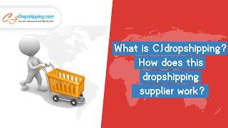 What is CJdropshipping?  How does this dropshipping supplier work?