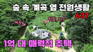 1억대 시작하는 매력적인 전원생활! 숲과 계곡이 함께 하는 독입적인 위치 전망 좋은 깔끔한 전원주택 매매 - 충청북도 영동군 위치 백문부동산 문소장