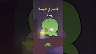 قلقس بقاله فترة في الأوضة لوحده | زغاليل