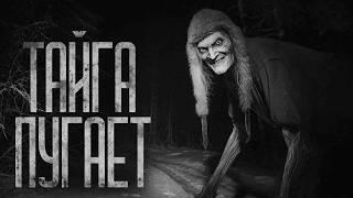 ТАЙГА ПУГАЕТ! Страшные истории и страшилки.