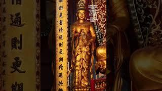120南无月光遍照菩萨#楞严在佛法在 #楞严经 #佛经 #佛 #佛教 #南无阿弥陀佛 #阿弥陀佛 #namo #南無阿彌陀佛