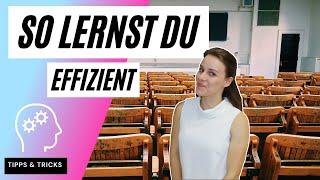 Effizient lernen | So bereitest du deine Vorlesung nach