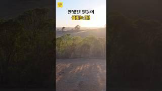 안됐던 일들이 풀리는 띠!  #띠별운세 #풍수 #사주 #행운