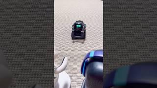 How my robots play Squid Game 2