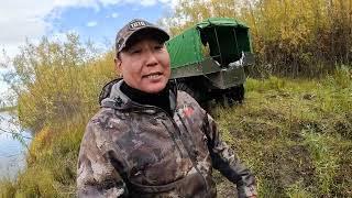 Поездка на каракате "Тундра 3" за кедровыми орехами. Тест-драйв на 50 км в одну сторону